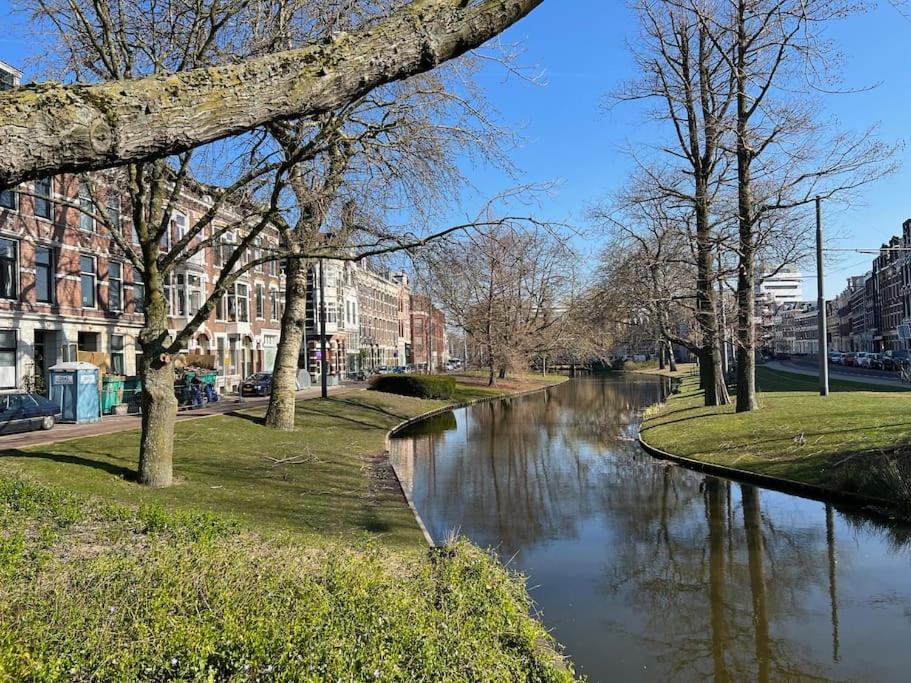 Rotterdam Inn Kültér fotó